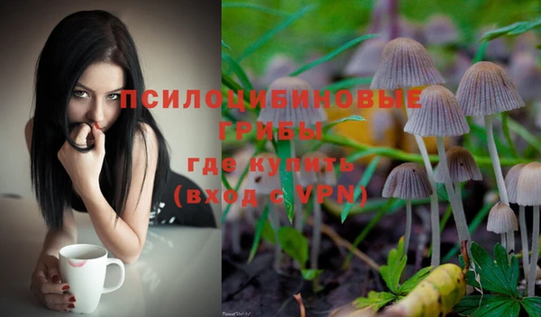 соль ск Абдулино